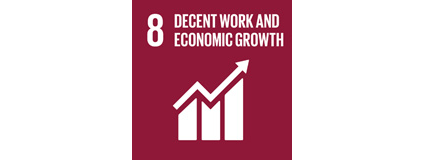 UN sustainability goal 8