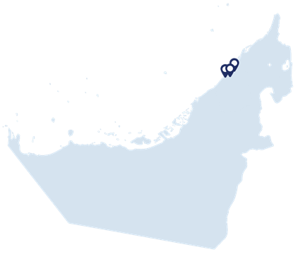 Air freight, sea freight to and from the UAE